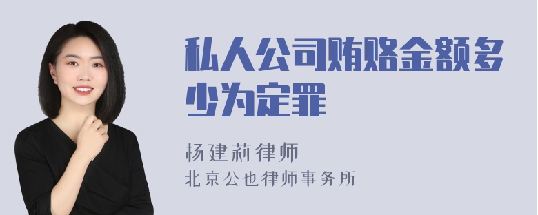 私人公司贿赂金额多少为定罪