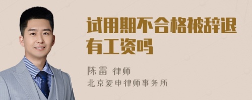 试用期不合格被辞退有工资吗