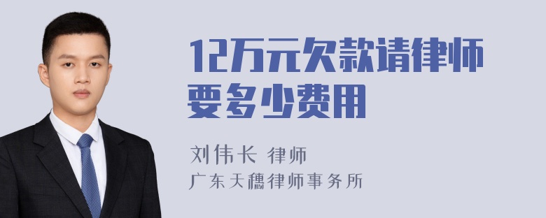 12万元欠款请律师要多少费用