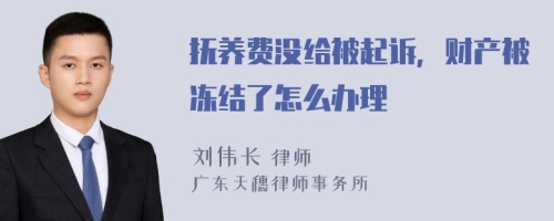 抚养费没给被起诉，财产被冻结了怎么办理