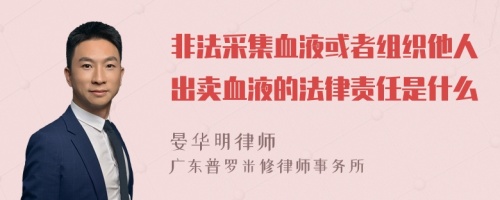 非法采集血液或者组织他人出卖血液的法律责任是什么