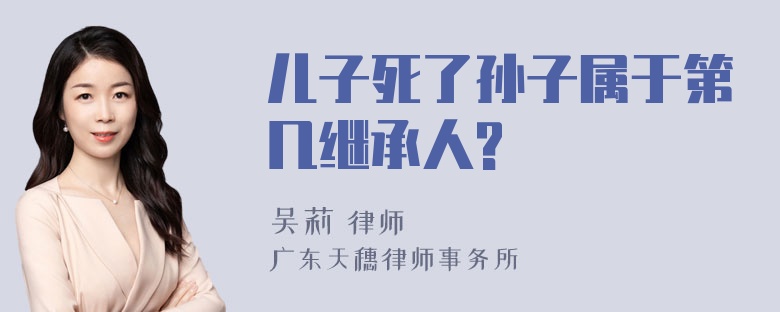 儿子死了孙子属于第几继承人?