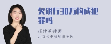 欠银行30万构成犯罪吗