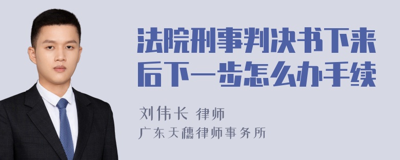 法院刑事判决书下来后下一步怎么办手续