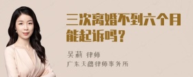 三次离婚不到六个月能起诉吗？