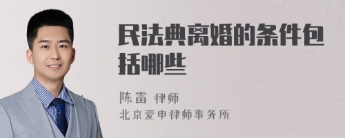 民法典离婚的条件包括哪些