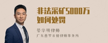 非法采矿5000万如何处罚