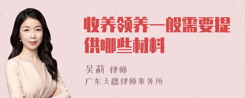 收养领养一般需要提供哪些材料