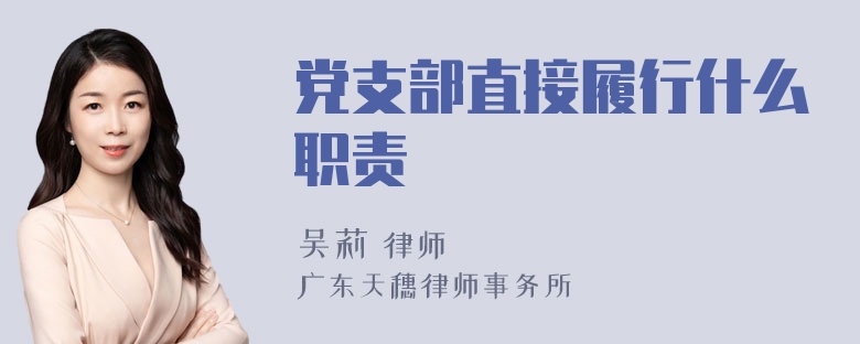 党支部直接履行什么职责