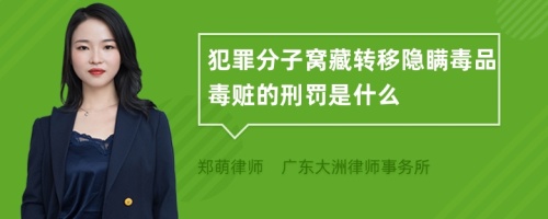 犯罪分子窝藏转移隐瞒毒品毒赃的刑罚是什么