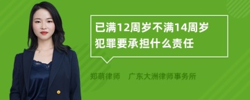 已满12周岁不满14周岁犯罪要承担什么责任