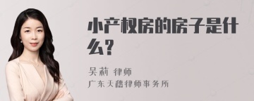 小产权房的房子是什么？