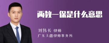 两教一保是什么意思