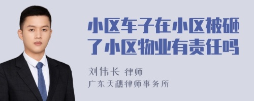 小区车子在小区被砸了小区物业有责任吗