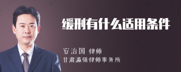 缓刑有什么适用条件