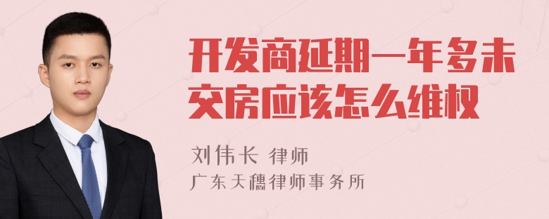 开发商延期一年多未交房应该怎么维权