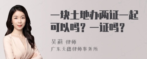 一块土地办两证一起可以吗？一证吗？