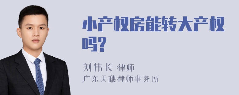 小产权房能转大产权吗?