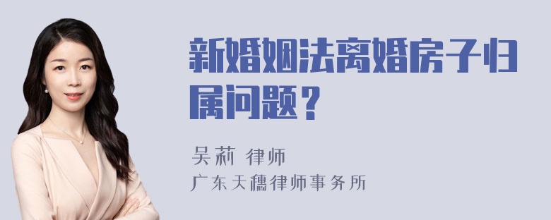 新婚姻法离婚房子归属问题？