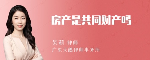 房产是共同财产吗