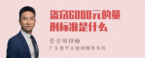 盗窃6000元的量刑标准是什么