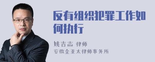 反有组织犯罪工作如何执行