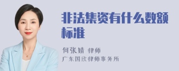 非法集资有什么数额标准