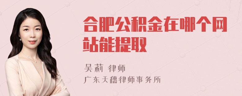 合肥公积金在哪个网站能提取