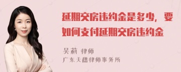 延期交房违约金是多少，要如何支付延期交房违约金