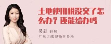 土地使用税没交了怎么办？还能给办吗