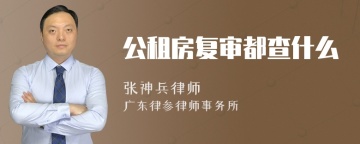 公租房复审都查什么