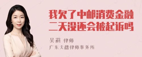 我欠了中邮消费金融二天没还会被起诉吗