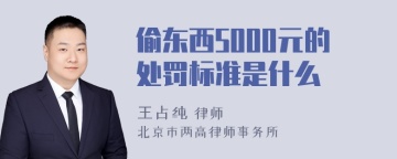 偷东西5000元的处罚标准是什么