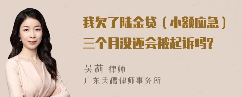 我欠了陆金贷（小额应急）三个月没还会被起诉吗?