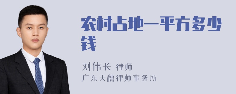 农村占地一平方多少钱