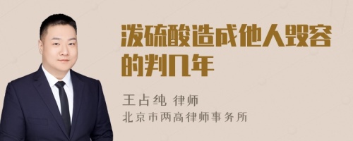 泼硫酸造成他人毁容的判几年