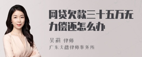 网贷欠款三十五万无力偿还怎么办