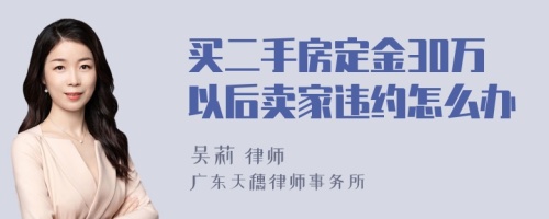 买二手房定金30万以后卖家违约怎么办