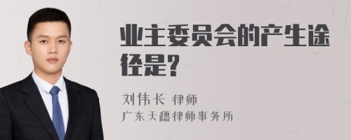 业主委员会的产生途径是?