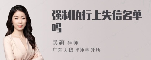 强制执行上失信名单吗