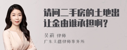 请问二手房的土地出让金由谁承担啊？