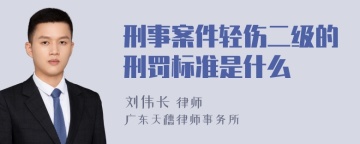 刑事案件轻伤二级的刑罚标准是什么