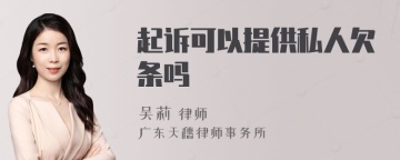 起诉可以提供私人欠条吗