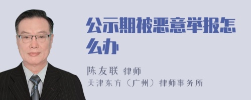 公示期被恶意举报怎么办