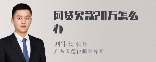 网贷欠款20万怎么办