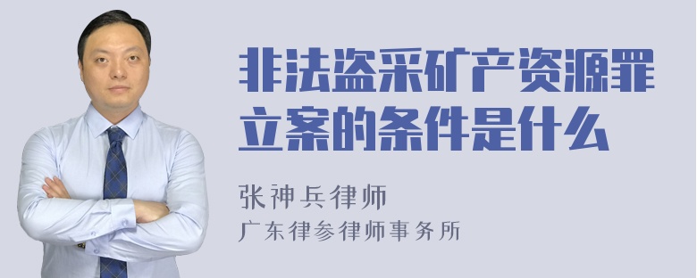 非法盗采矿产资源罪立案的条件是什么