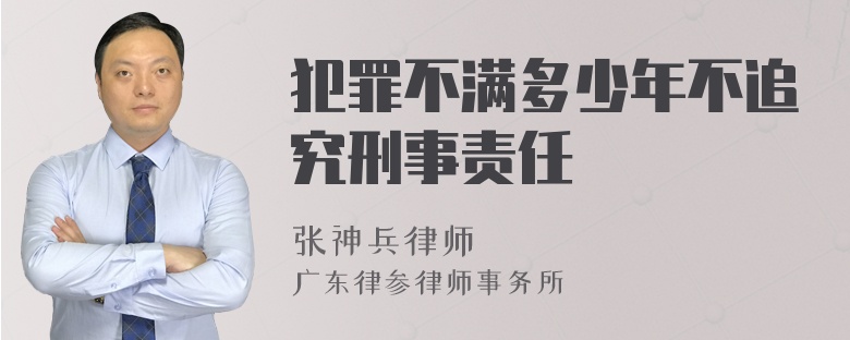 犯罪不满多少年不追究刑事责任