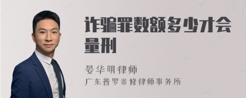 诈骗罪数额多少才会量刑