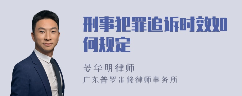 刑事犯罪追诉时效如何规定