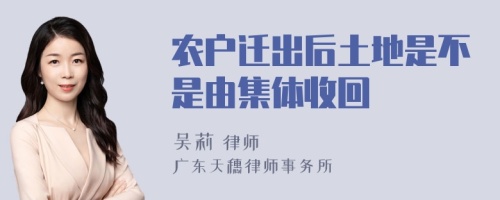 农户迁出后土地是不是由集体收回